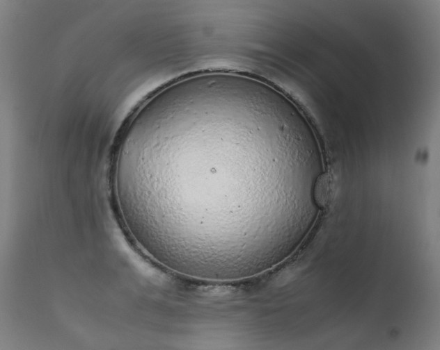 X0000111370991200907171154