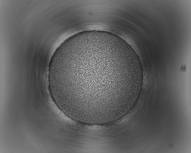 X0000111370992200907171154