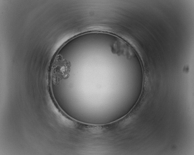 X0000111370999200907171154