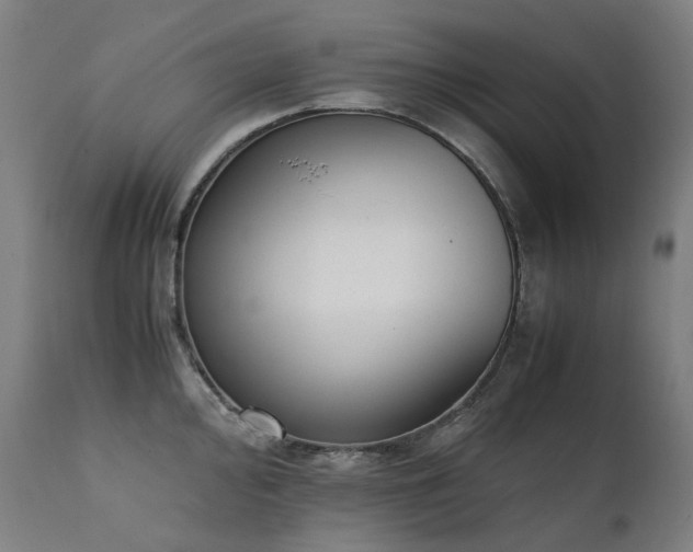 X0000111371000200907171154