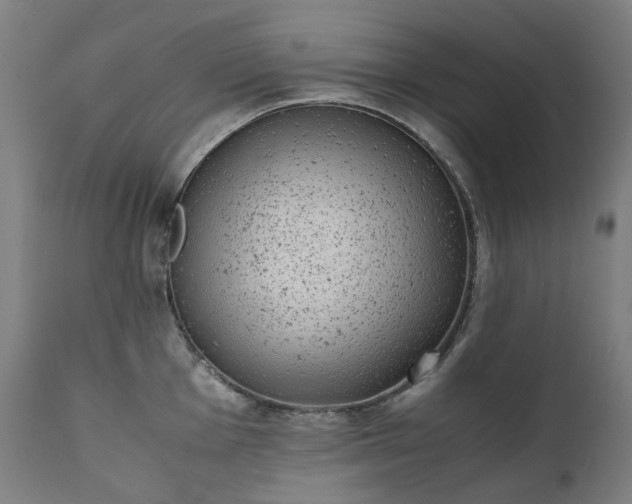 X0000111371001200907171154