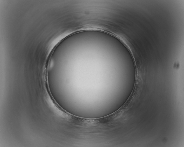 X0000111371003200907171154