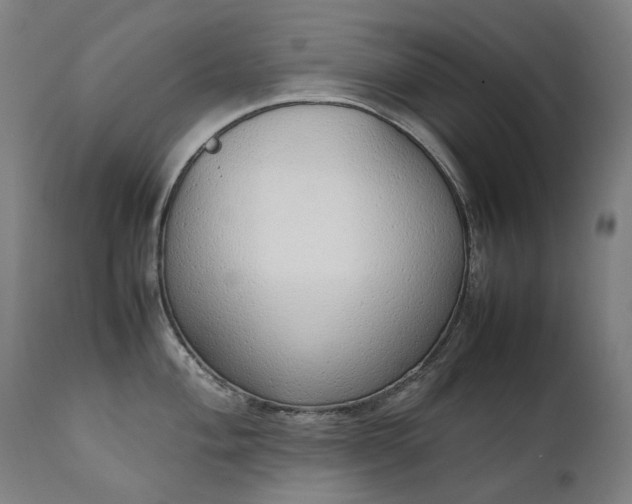 X0000111371004200907171153