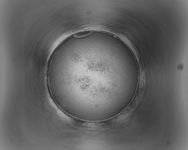 X0000111371005200907171153