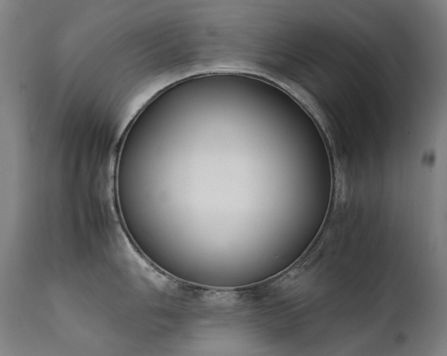 X0000111371006200907171153