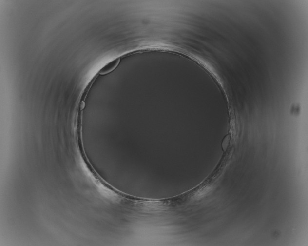 X0000111371007200907171153