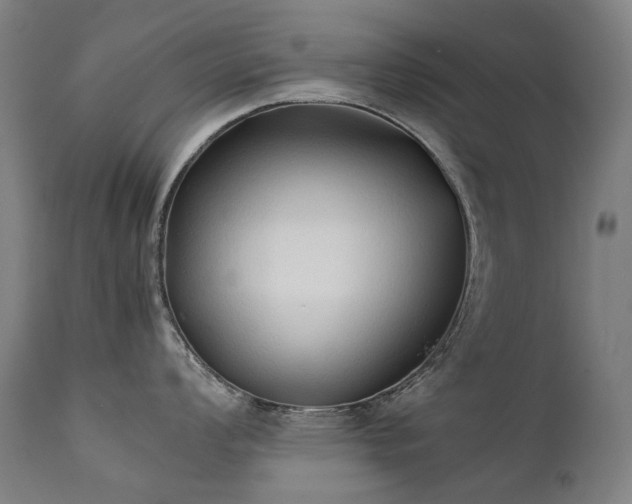 X0000111371008200907171153