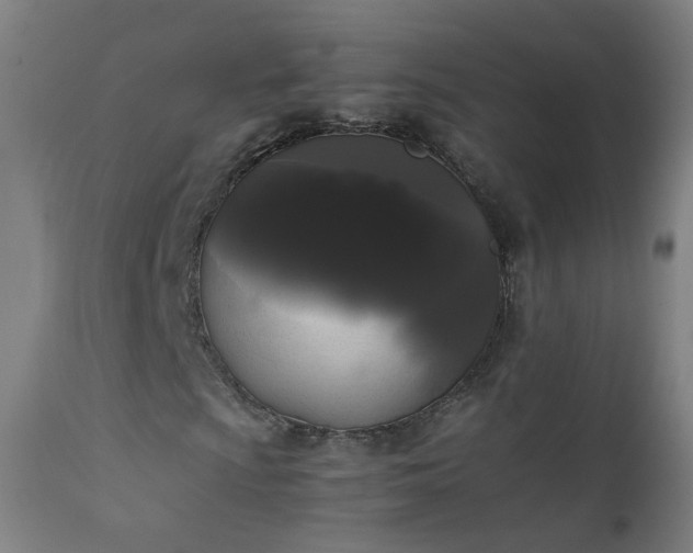 X0000111371009200907171153