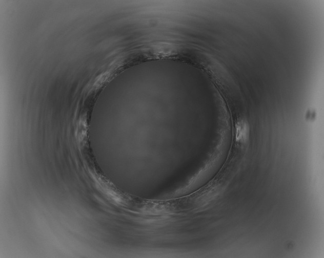 X0000111371011200907171153