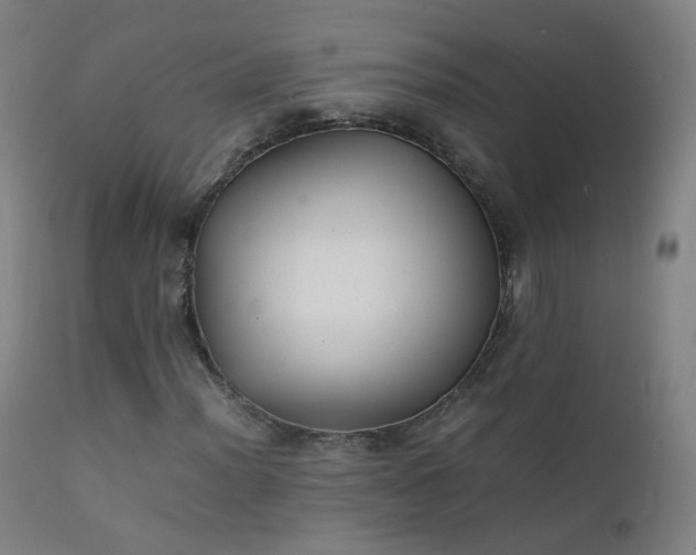 X0000111371012200907171153