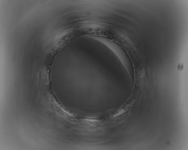 X0000111371013200907171153