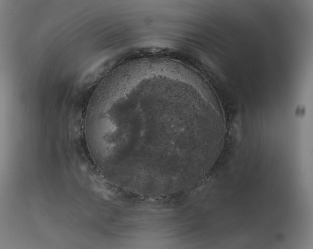 X0000111371014200907171153