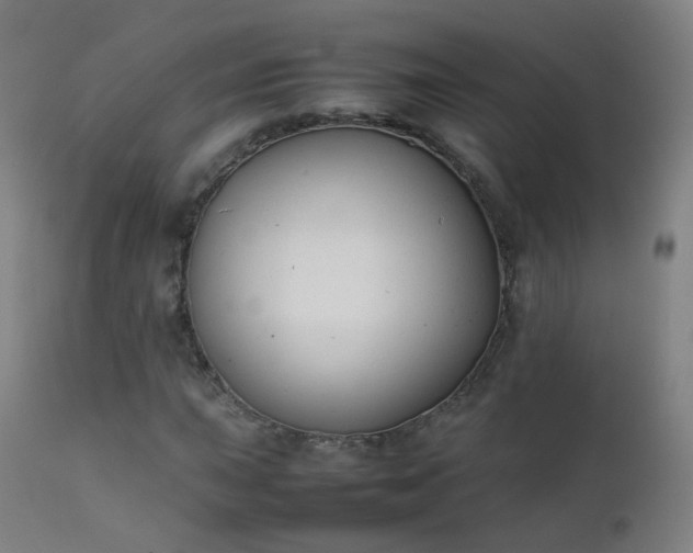 X0000111371015200907171153