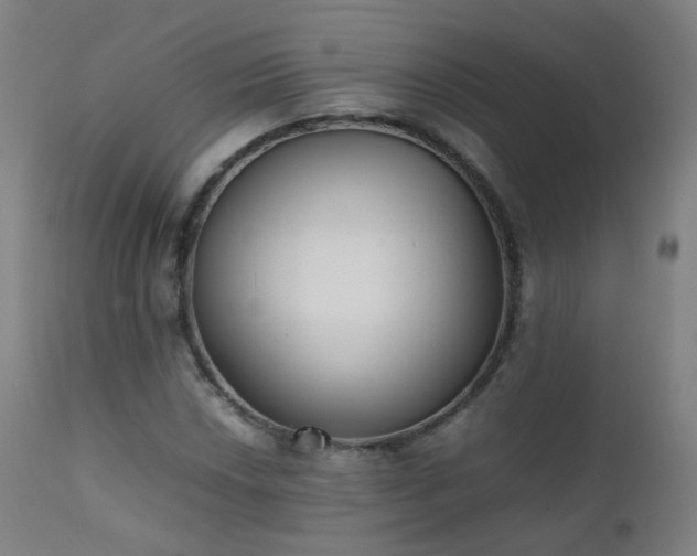 X0000111371018200907171153