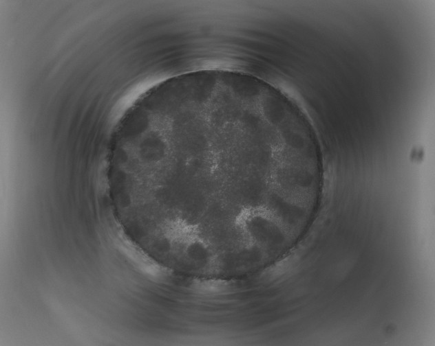 X0000111371019200907171153