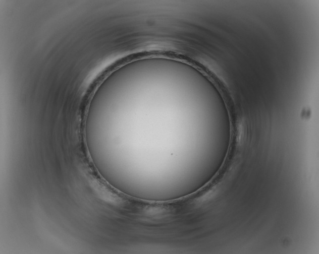 X0000111371021200907171153