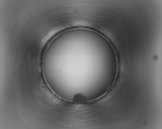 X0000111371022200907171153