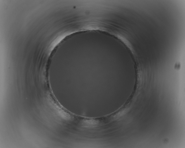 X0000111371023200907171153