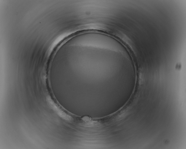 X0000111371024200907171153