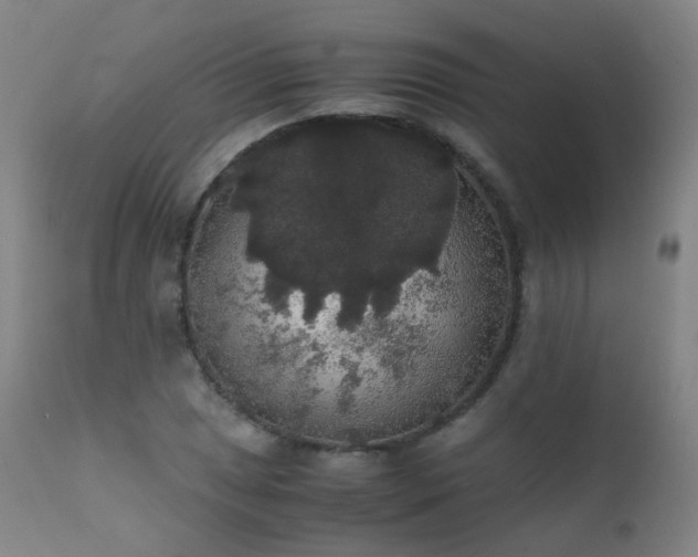 X0000111371025200907171153