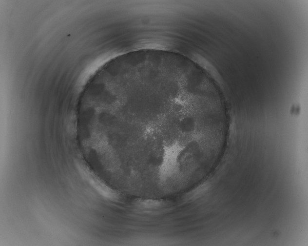 X0000111371027200907171153