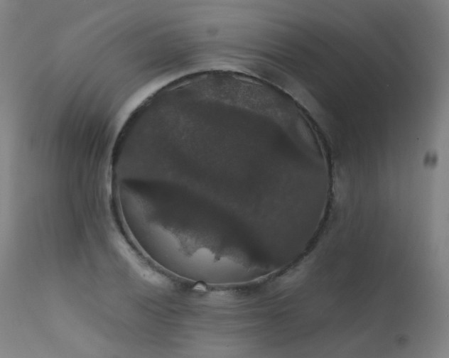 X0000111371028200907171153