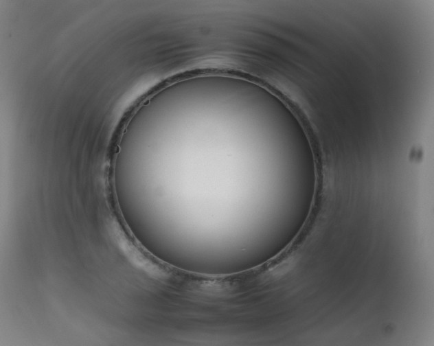 X0000111371029200907171153