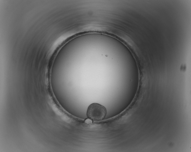 X0000111371030200907171153