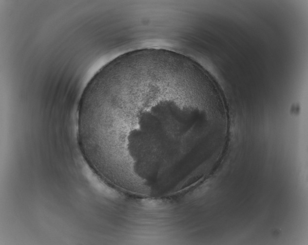 X0000111371032200907171153