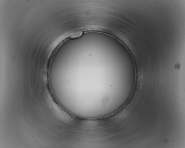 X0000111371034200907171153