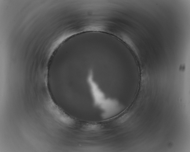 X0000111371035200907171153