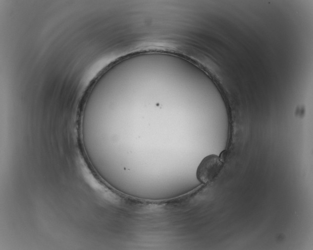 X0000111371038200907171153