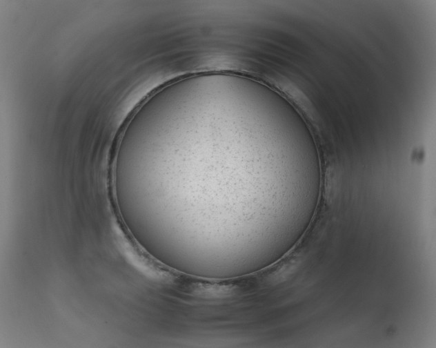 X0000111371039200907171153