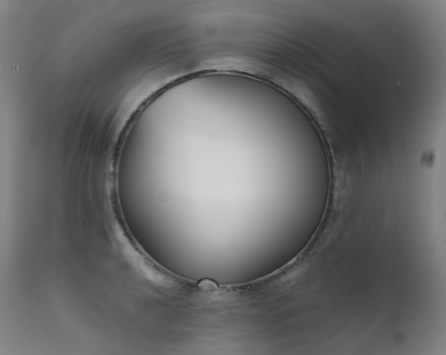 X0000111371040200907171153