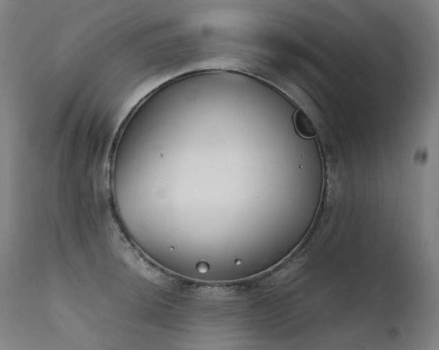 X0000111371044200907171153