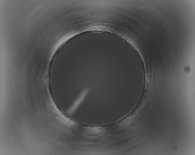 X0000111371045200907171153