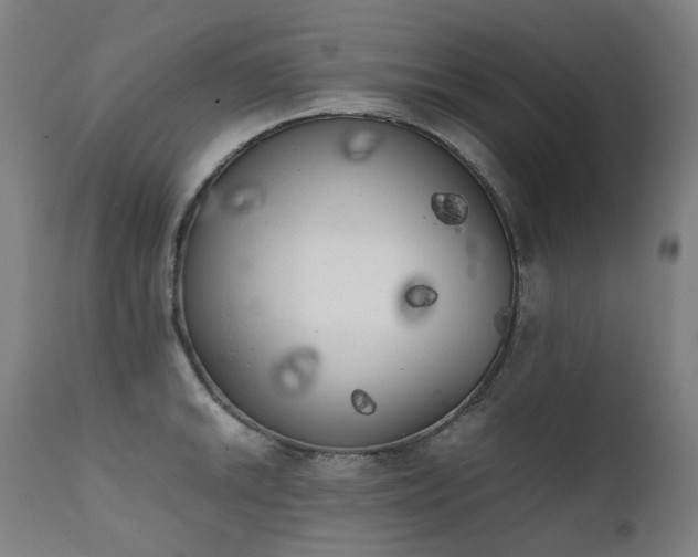 X0000111371046200907171153