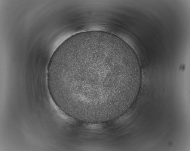 X0000111371047200907171153