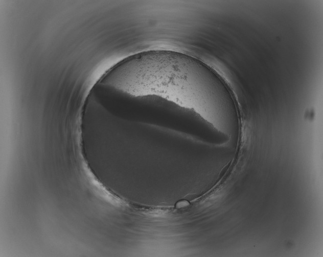 X0000111371048200907171153