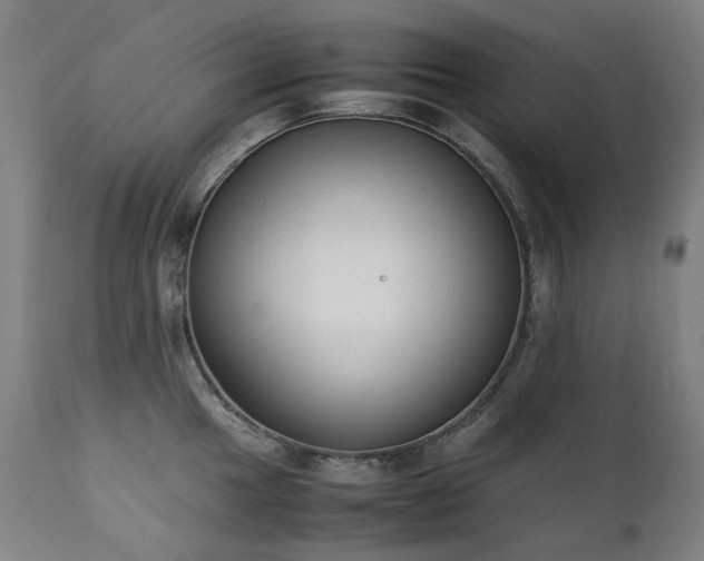 X0000111371049200907171153