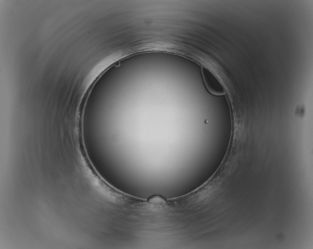 X0000111371050200907171153