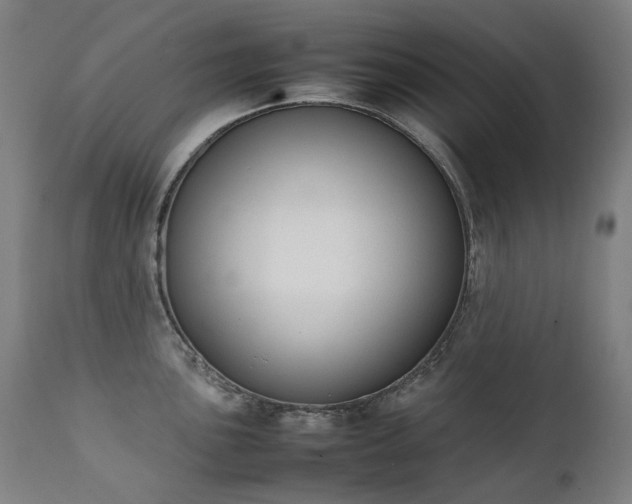 X0000111371051200907171153