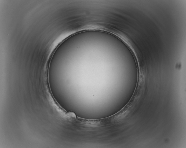 X0000111371053200907171153