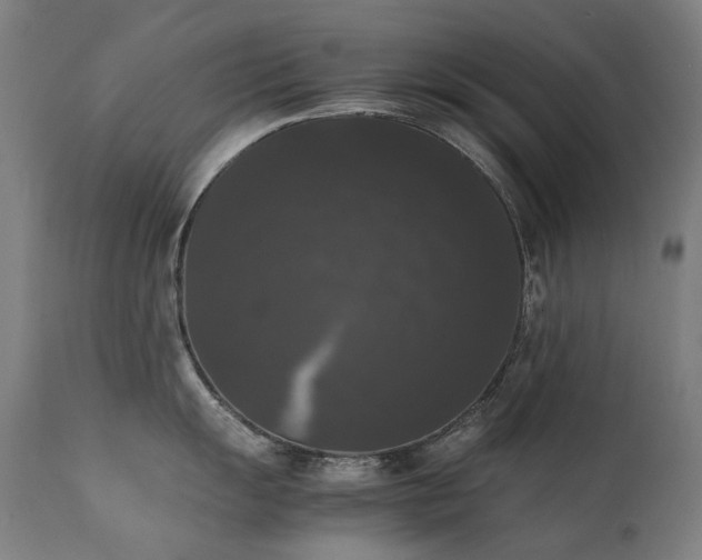 X0000111371055200907171153