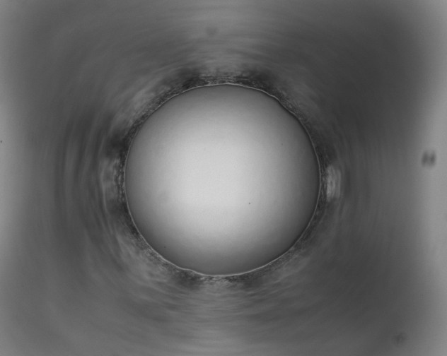 X0000111371059200907171153