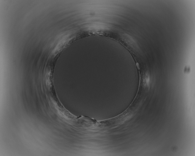 X0000111371060200907171153