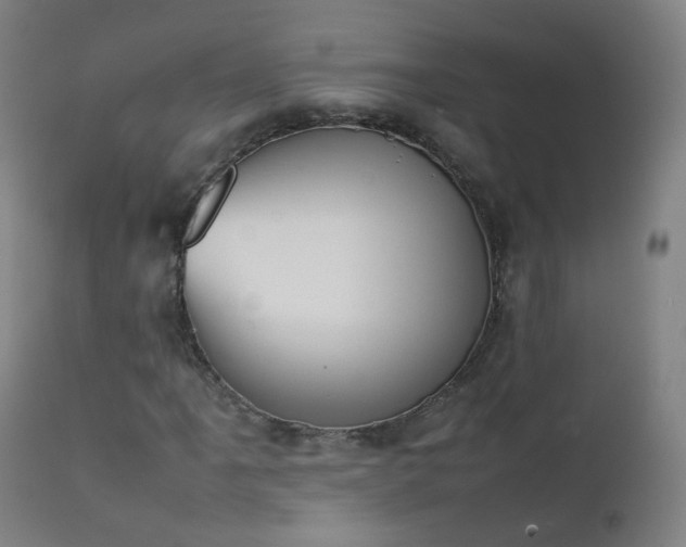 X0000111371061200907171153