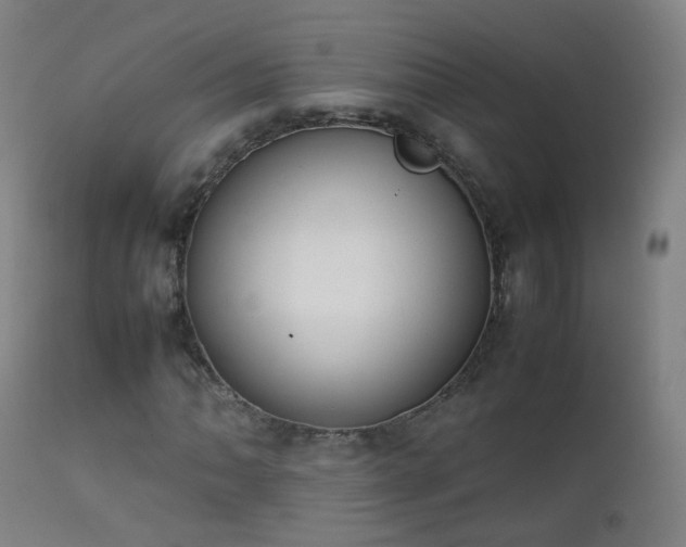 X0000111371062200907171153