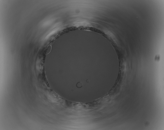 X0000111371063200907171153