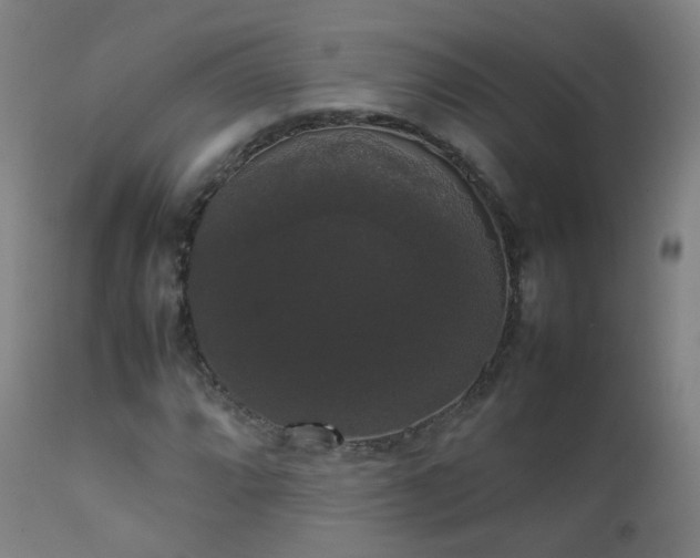 X0000111371064200907171152